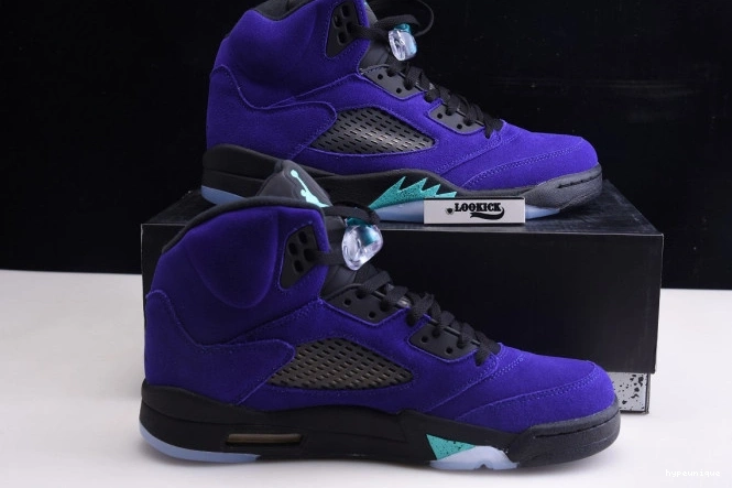 HYPE 5 136027-500 Alternate Grape Jordan Air Retro 0811
